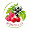 Montillot